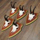 Chamois antlers, 3 pieces, male chamois, SL 21.4 cm, chamois antlers on Swiss stone pine trophy board 47.278