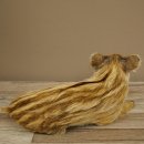Frischling Ganzpräparat Höhe 16 cm liegend Schwein Wildschwein Präparat Deko 34.2.36