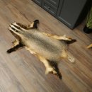 Dassenvacht Dassenvacht Deken Vachtkleed Kleed Lengte 115 cm 87.26.7