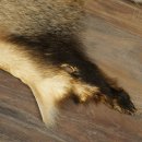 Dassenvacht Dassenvacht Deken Vachtkleed Kleed Lengte 115 cm 87.26.7