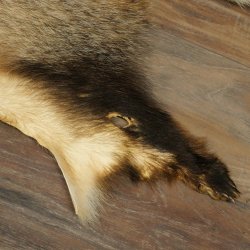 Dassenvacht Dassenvacht Deken Vachtkleed Kleed Lengte 115 cm 87.26.7