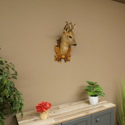 Roebuck Head and Shoulders Mount, Height 50 cm, Antlers, Roebuck Head Mount, Shield 85.11.111