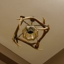 Deckenlampe Lampe Deckenleuchte 4x Sikahirschstange Stangen Leuchte 1 - flammig Lampenschirm