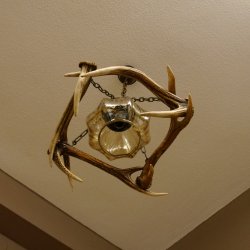 Deckenlampe Lampe Deckenleuchte 4x Sikahirschstange Stangen Leuchte 1 - flammig Lampenschirm