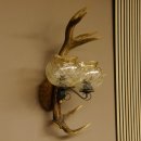 Wandlampe Wandleuchte Lampe Geweih Rothirschstange Stangen Lampe 2 - flammig Lampenschirm 92.2.15