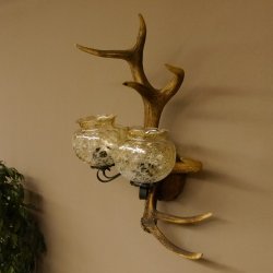 Wandlampe Wandleuchte Lampe Geweih Rothirschstange Stangen Lampe 2 - flammig Lampenschirm 92.2.15