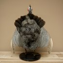 Parelhoen Kip Parelpreparaat Geheel preparaat geprepareerd Vogel Decoratie vrij verkrijgbaar #.3