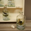 Jagdapotheke aus Holz mit 5 Flaschen und Jagdmotiv Jagd Neu 27.7.10.2