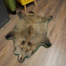 Wilde zwijnenhuid everzwijnenhuid wild zwijn zwoerd varkenszwoerd vloerkleed lengte 180 cm 87.6.41