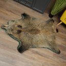 Wilde zwijnenhuid everzwijnenhuid wild zwijn zwoerd varkenszwoerd vloerkleed lengte 180 cm 87.6.41