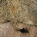 Wilde zwijnenhuid everzwijnenhuid wild zwijn zwoerd varkenszwoerd vloerkleed lengte 180 cm 87.6.41
