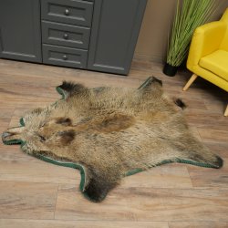Wilde zwijnenhuid everzwijnenhuid wild zwijn zwoerd varkenszwoerd vloerkleed lengte 180 cm 87.6.41