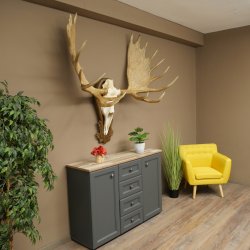 Petit bois délan Largeur des bois 77 cm Trophée de crâne sur plaque sculptée 79,71