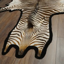 Zebra Fell Zebrafell Hartmann Bergzebra Vorleger mit Genehmigung zum Verkauf 87.100.22