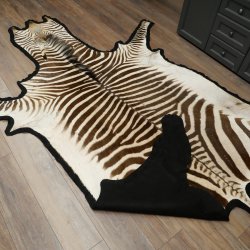 Zebra Fell Zebrafell Hartmann Bergzebra Vorleger mit Genehmigung zum Verkauf 87.100.22