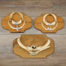 Warzenschwein 3er Set Waffen Hauer max. 24 cm Keiler...