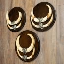 Phacochère, lot de 3 armes, défenses max. 27 cm, sanglier armé, Afrique, bouclier 88.15.75