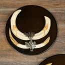 Phacochère, lot de 3 armes, défenses max. 27 cm, sanglier armé, Afrique, bouclier 88.15.75