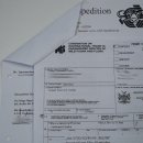 Zebrakopf Hartmann Zebra Kopf Präparat mit Genehmigung zum Verkauf 87.100.23