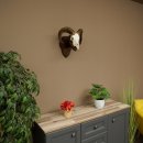 Mufflon (Ovis gmelini musimon) Widder kleines Geweih Schädeltrophäe Hornlänge 44,5 cm auf Trophäenschild 82.1.130