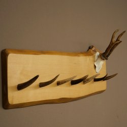Geweih Garderobe mit 7 Hirschspitzen Haken auf Holzbrett Rehgeweih Wandgarderobe Unikat 27.8.124