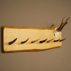 Geweih Garderobe mit 7 Hirschspitzen Haken auf Holzbrett Rehgeweih Wandgarderobe Unikat 27.8.124