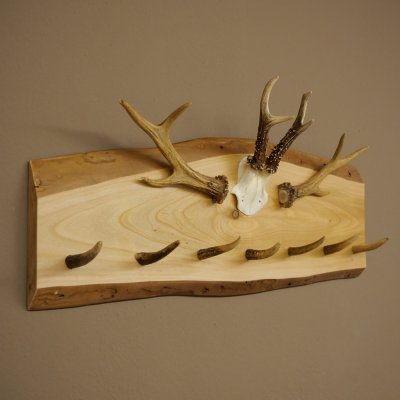Geweih Garderobe mit 7 Hirschspitzen 2 Bockstangen Haken auf Holzbrett Rehgeweih Wandgarderobe Unikat 27.8.125