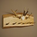 Geweih Garderobe mit 7 Hirschspitzen 2 Bockstangen Haken...