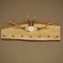 Geweih Garderobe mit 7 Hirschspitzen 2 Bockstangen Haken auf Holzbrett Rehgeweih Wandgarderobe Unikat 27.8.125