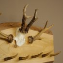 Geweih Garderobe mit 7 Hirschspitzen 2 Bockstangen Haken auf Holzbrett Rehgeweih Wandgarderobe Unikat 27.8.125