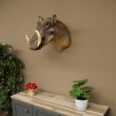 Warthog Boar Head Mount, tusk length max. 20.8 cm, African Warthog Trophy, 95.11.19