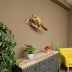 Steenmarter Marter op tak Opgezette decoratie Hoogte 53 m Opgezette dieren 89.5.231