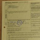 Ger - Saker - Falke Präparat präpariert Tierpräparat Standsockel mit Genehmigung zum Verkauf