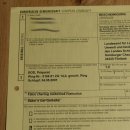 Saker - Gerfalke Präparat präpariert Tierpräparat auf Dekostein mit Genehmigung zum Verkauf