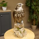 Saker - Gerfalke Präparat präpariert Tierpräparat auf Dekostein mit Genehmigung zum Verkauf