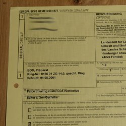 Saker - Gerfalke Präparat präpariert Tierpräparat auf Dekostein mit Genehmigung zum Verkauf