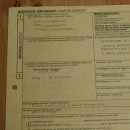 Halcón gerifalte con una perdiz de los matorrales como presa. Espécimen disecado. Halcón disecado. Taxidermia. Con permiso para la venta.