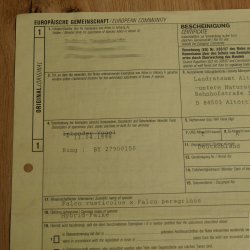 Halcón gerifalte con una perdiz de los matorrales como presa. Espécimen disecado. Halcón disecado. Taxidermia. Con permiso para la venta.