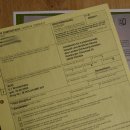 Faucon pèlerin empaillé mâle sur socle, autorisation de vente accordée