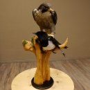 Faucon pèlerin empaillé mâle sur socle, autorisation de vente accordée