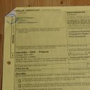 Halcón sacre disecado. Halcón disecado. Disecado de animales con autorización de la UE para su venta.