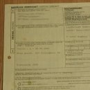 Faucon gerfaut avec une gélinotte des bois comme proie - Faucon empaillé - Taxidermie - Autorisation de vente