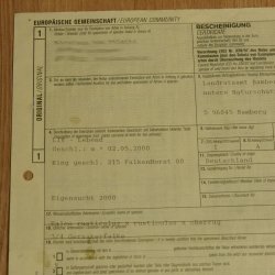 Faucon gerfaut avec une gélinotte des bois comme proie - Faucon empaillé - Taxidermie - Autorisation de vente