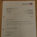 Buse à queue rousse - spécimen empaillé - spécimen animal empaillé - autorisé à la vente - socle