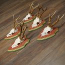 Cuernos de corzo, 20 unidades, corzos machos, cuernos de corzo macho, placas trofeo talladas 22.1350