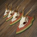 Corna di capriolo 20 pezzi Corna di capriolo Corna di...