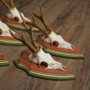 Cuernos de corzo, 20 unidades, corzos machos, cuernos de corzo macho, placas trofeo talladas 22.1350