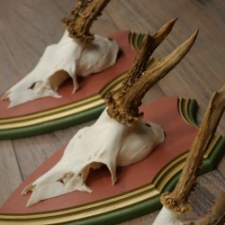 Reehoorns 20 stuks reebokken Reebokkenhoorns gesneden trofeeënborden 22.1350