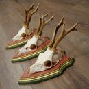 Deer antlers, 20 pieces, roe deer bucks, deer buck antlers, carved trophy signs 22.1350