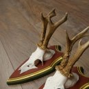 Deer antlers, 20 pieces, roe deer bucks, deer buck antlers, carved trophy signs 22.1350